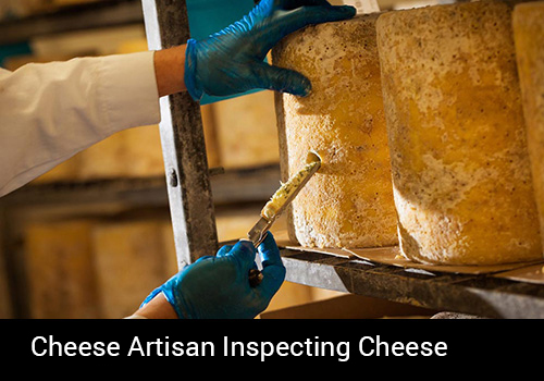 artisan